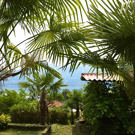 Di Paese - Splendida Vista Maggiore *